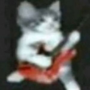 Meet your Posher, Ellie!!